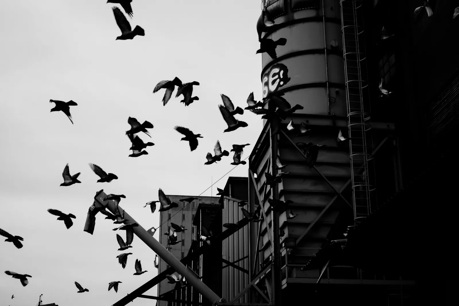 untitled shoot-9594.jpg