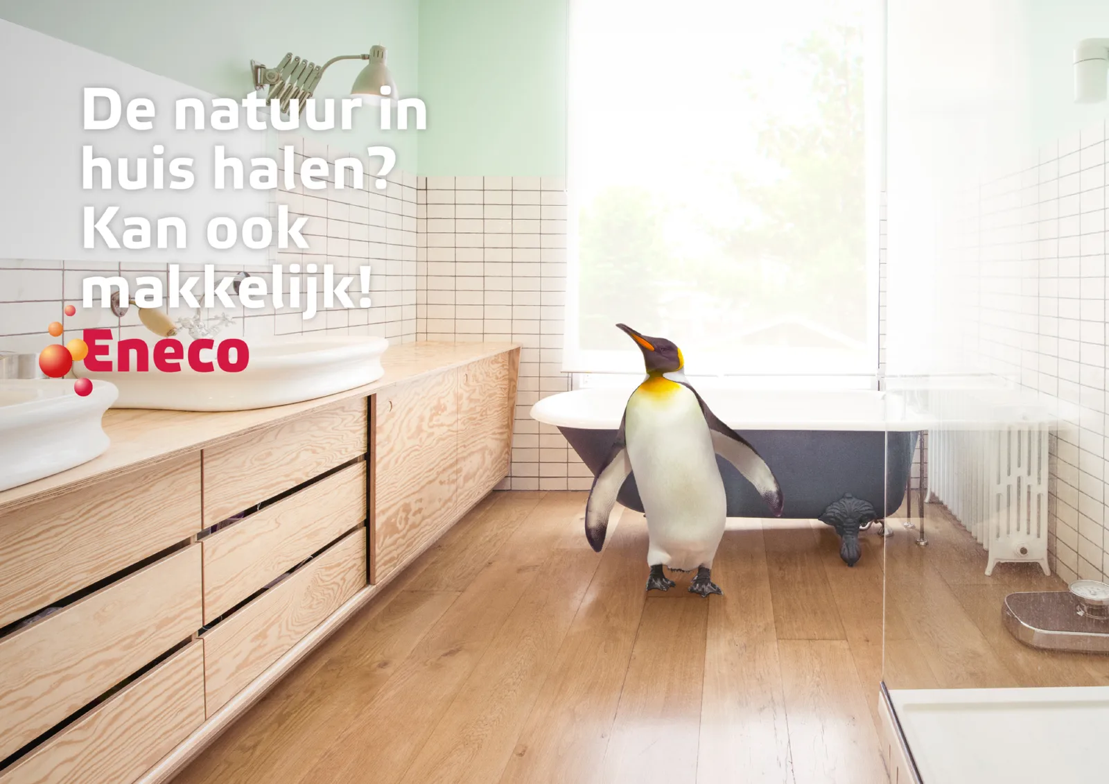 ENECO_overzicht_2-3.jpg