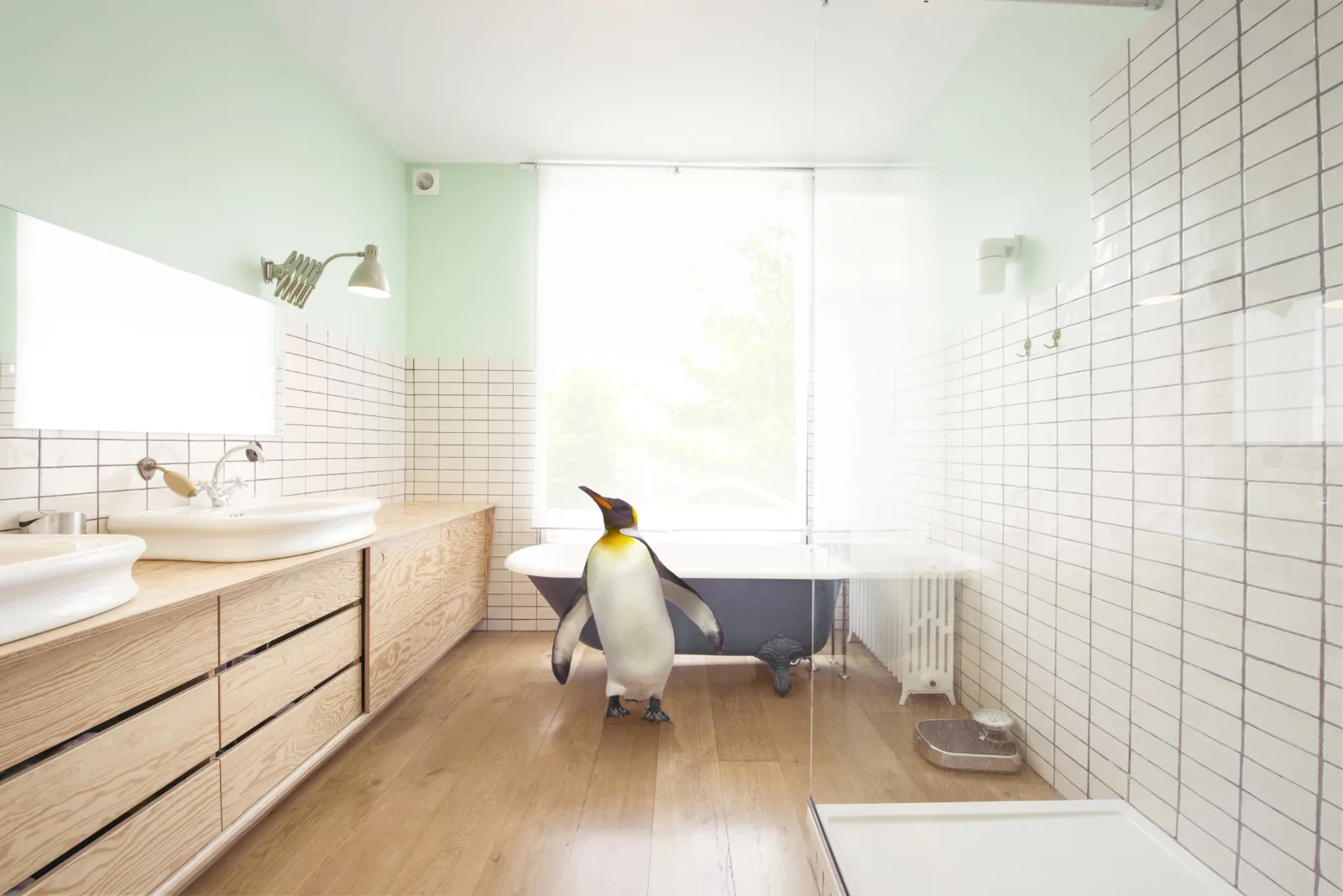 Eneco - Haal de Natuur in huis