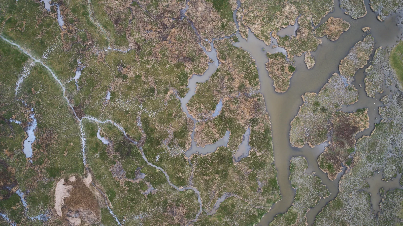DJI_0008.jpg
