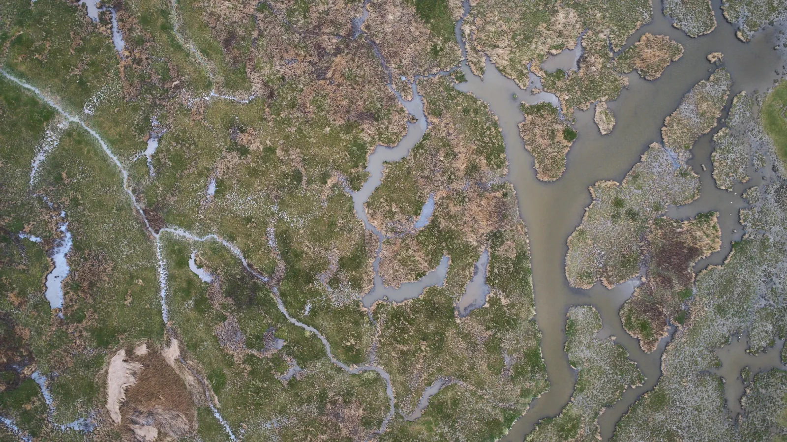 DJI_0008.jpg