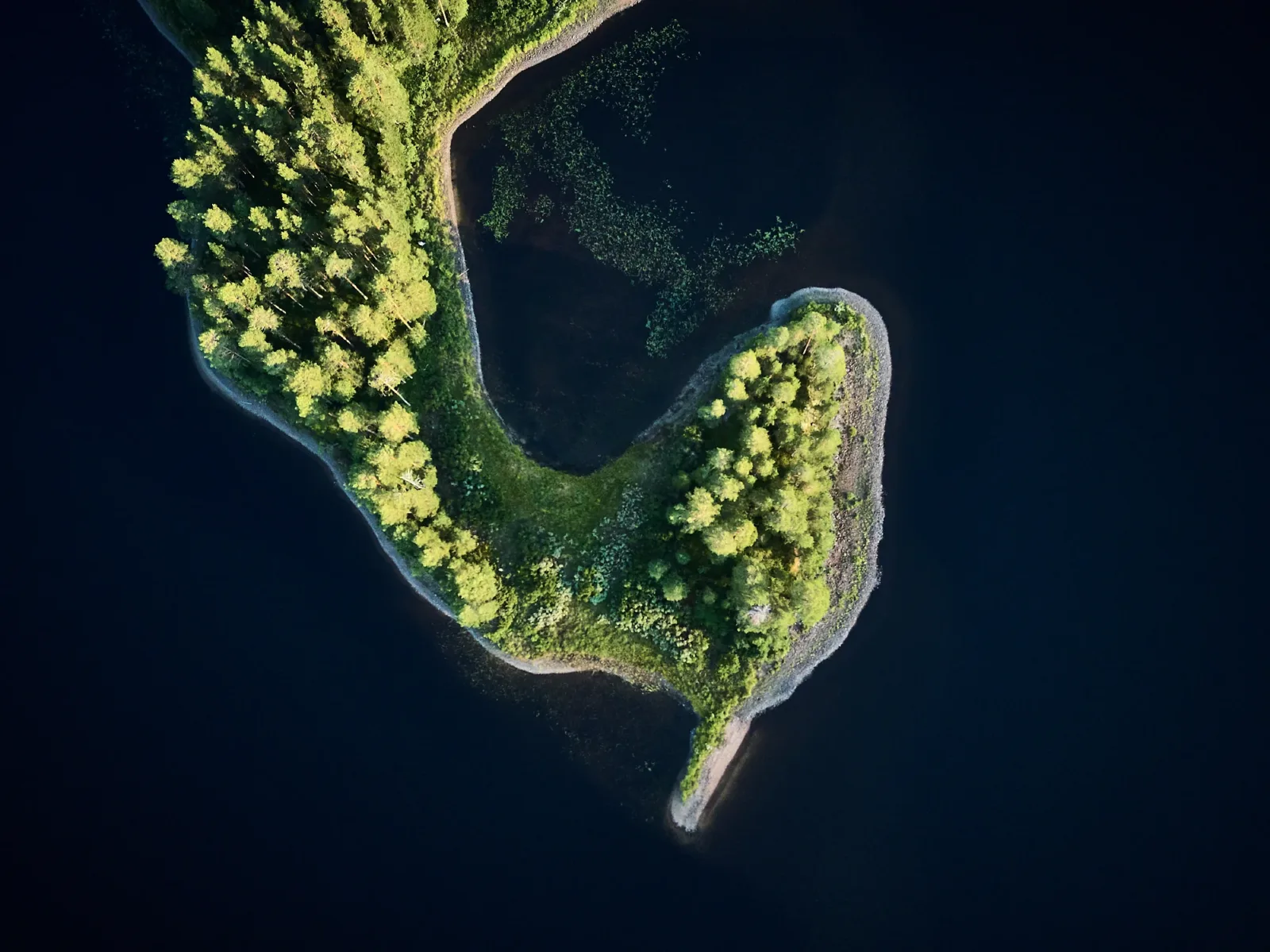 Sony-DJI_0107.jpg