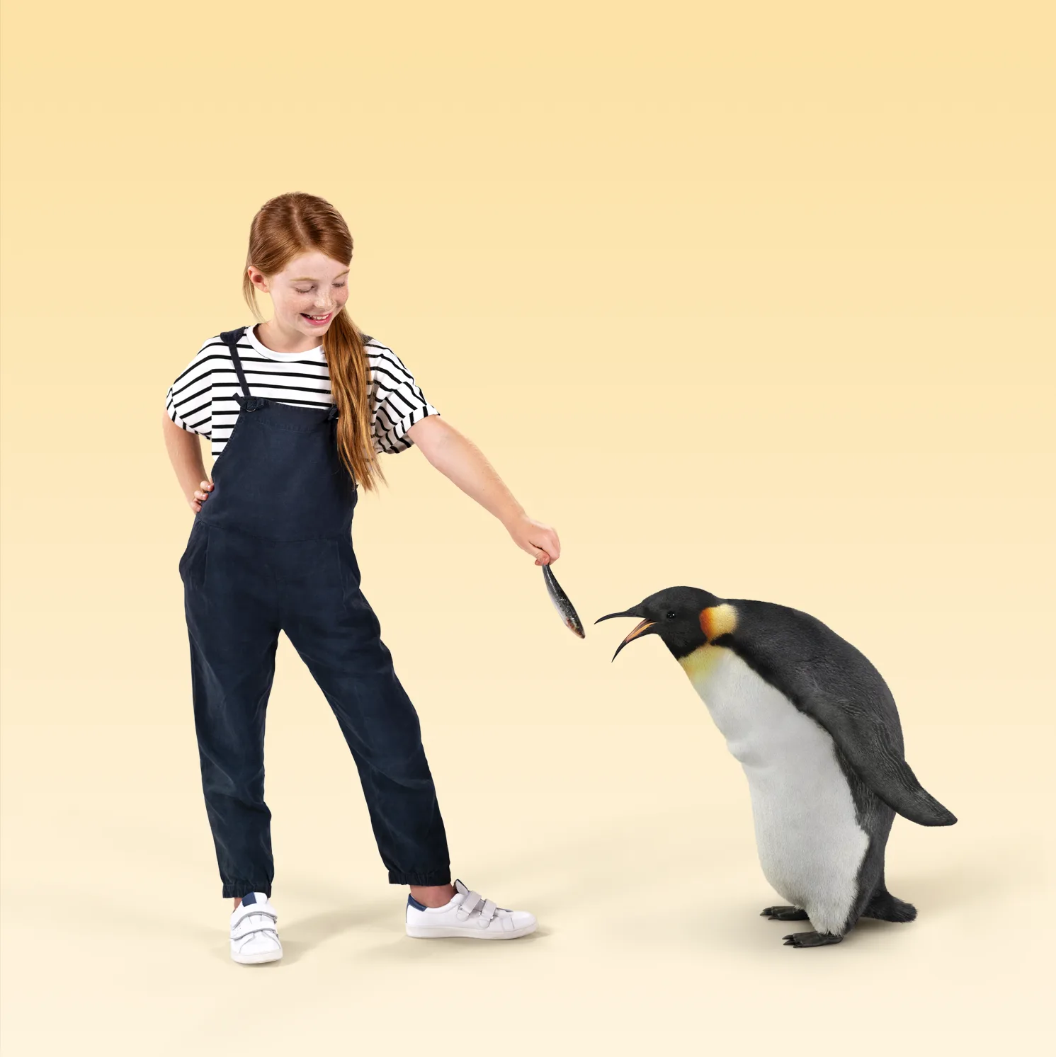 ENE_Najaar2018_Campagnebeeld_Pinguin-BG-LOWRES.png