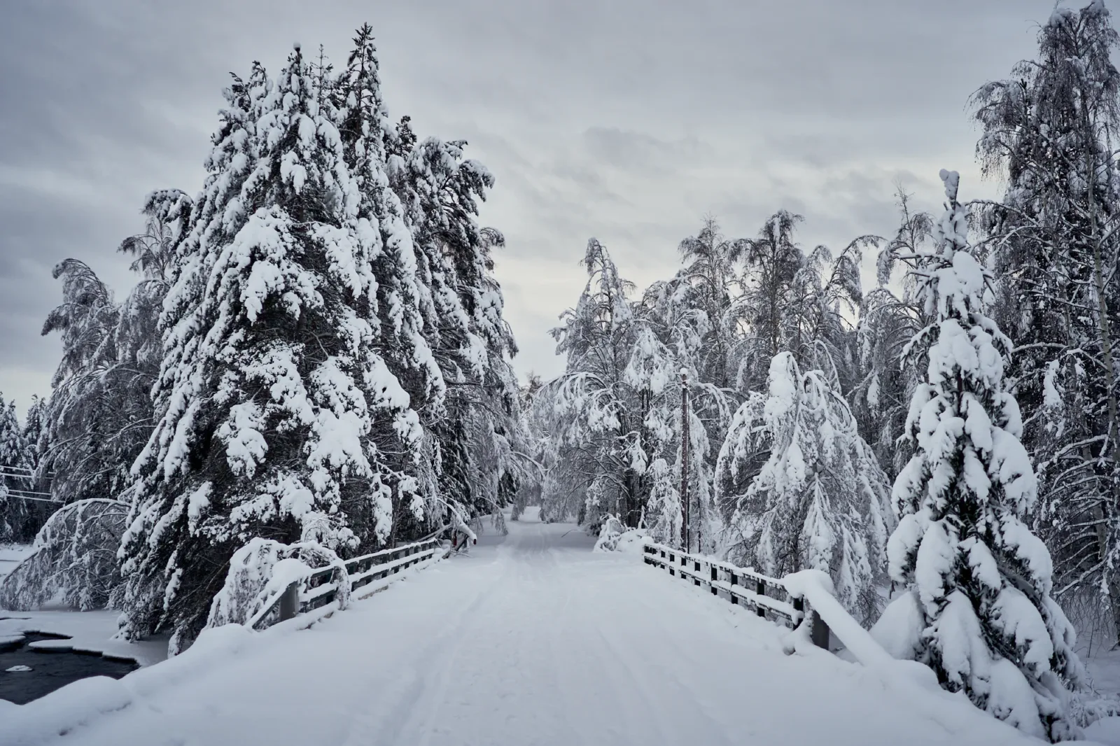 Zweden-2018-NIK01516.jpg
