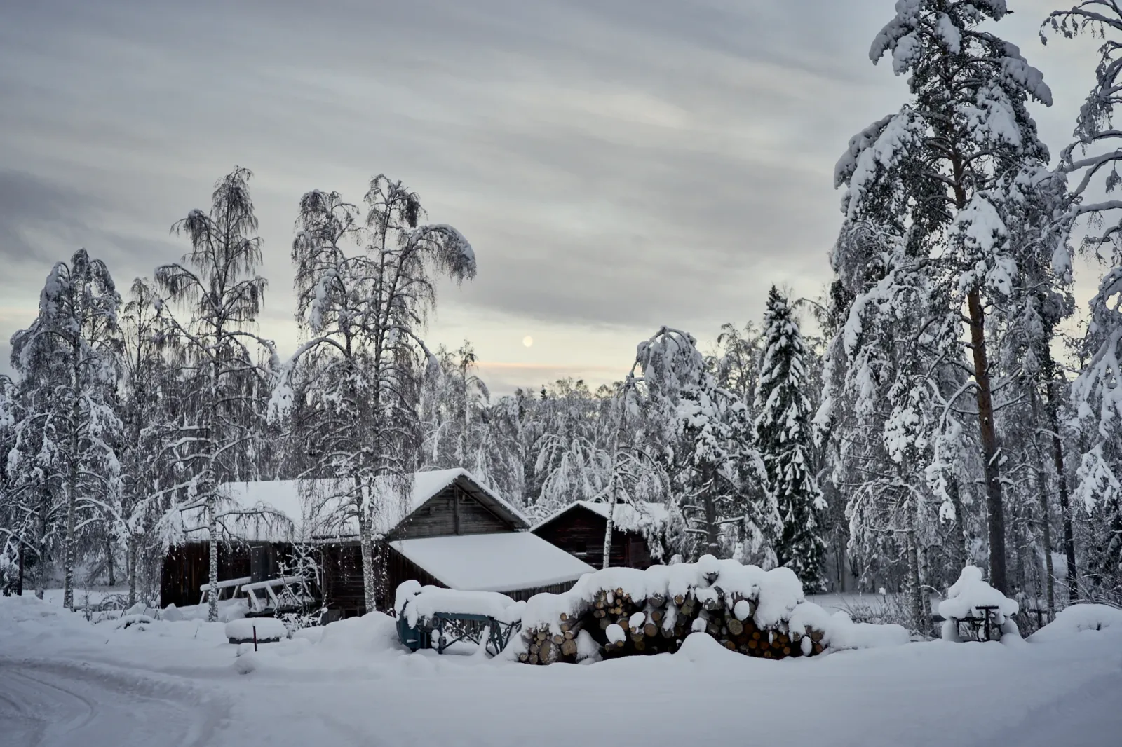 Zweden-2018-NIK01528.jpg