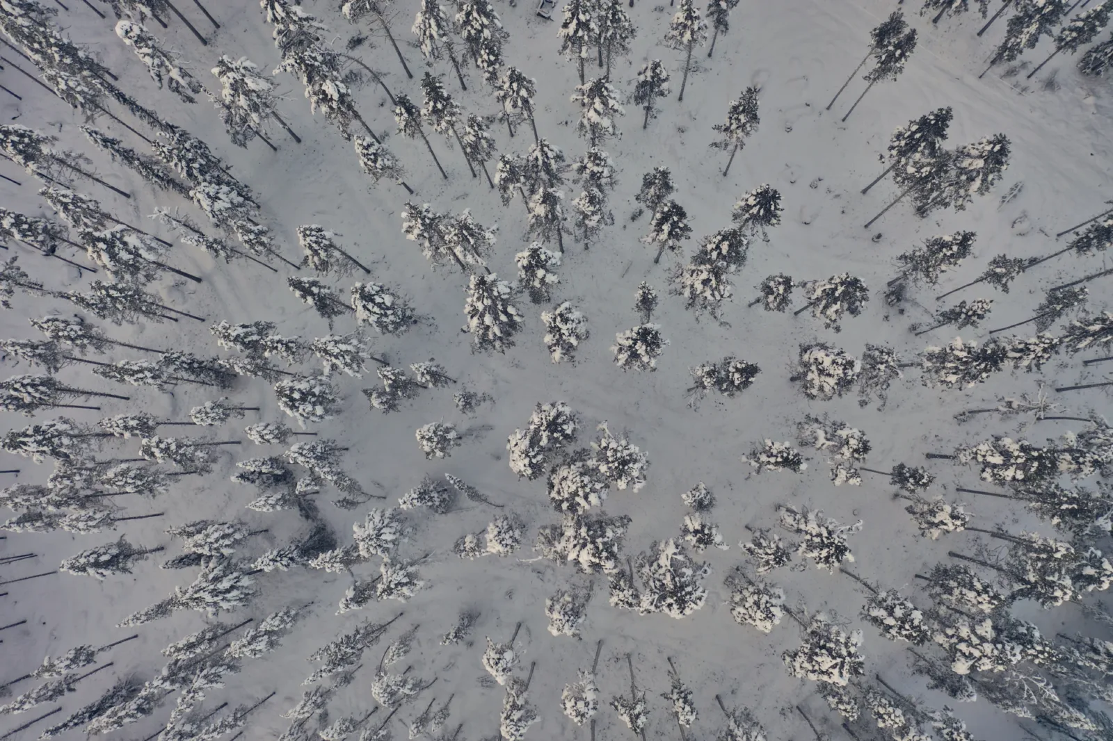 Zweden-2018-DJI_0239.jpg