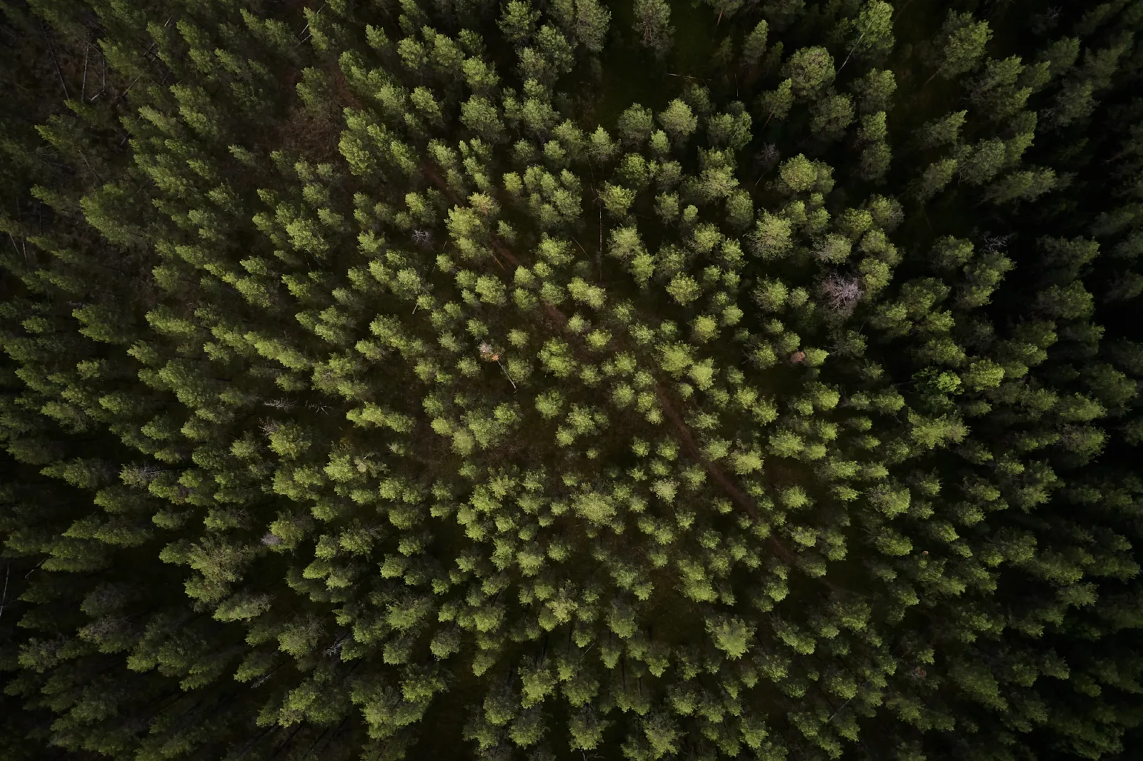 20190710-Zweden-S19-DJI_0489.jpg