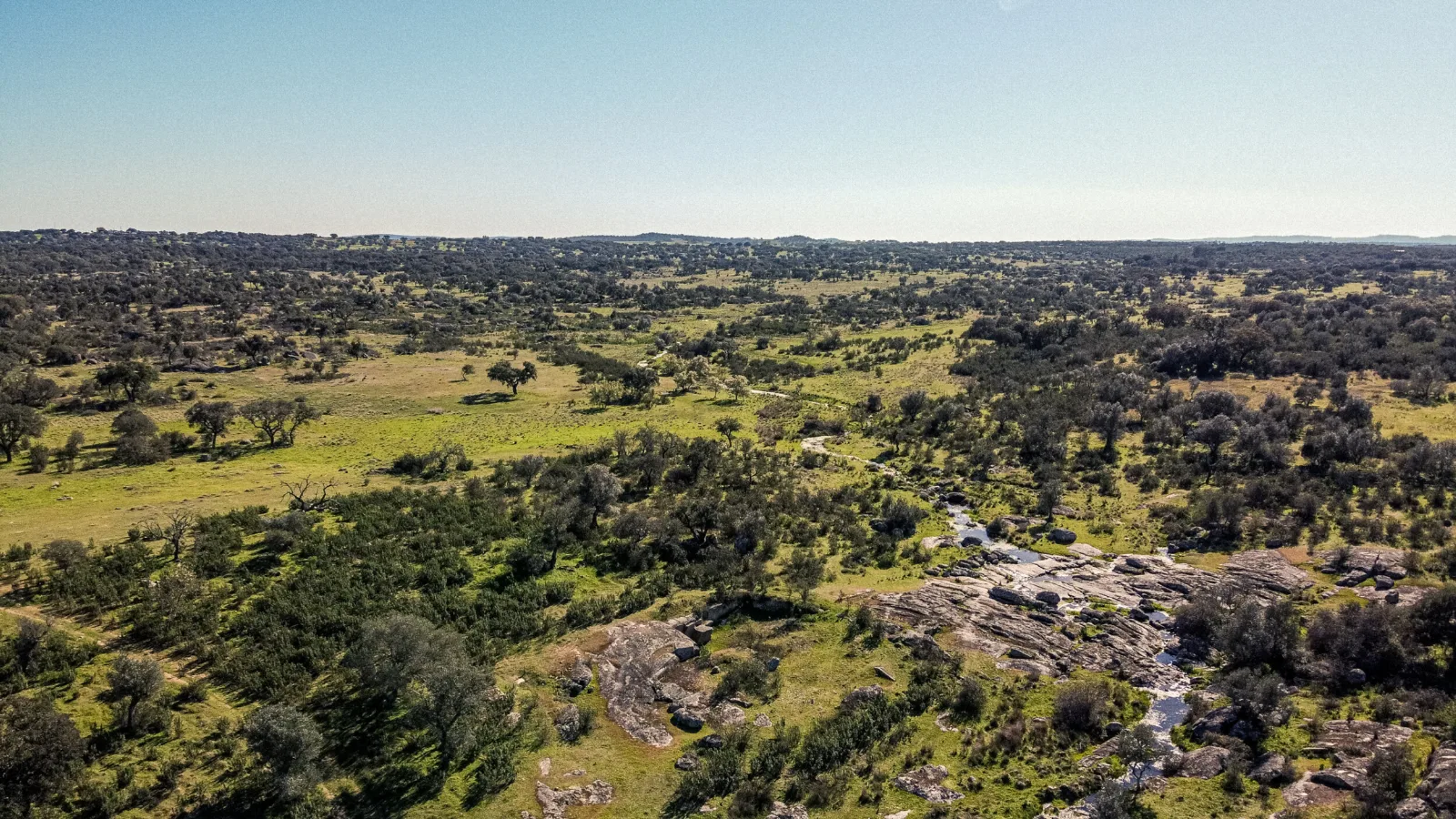 DJI_0061(1).jpg