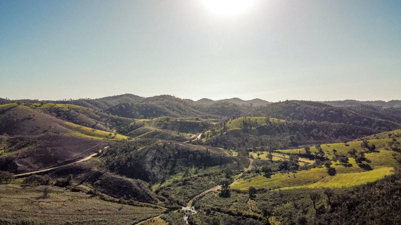 DJI_0111.jpg