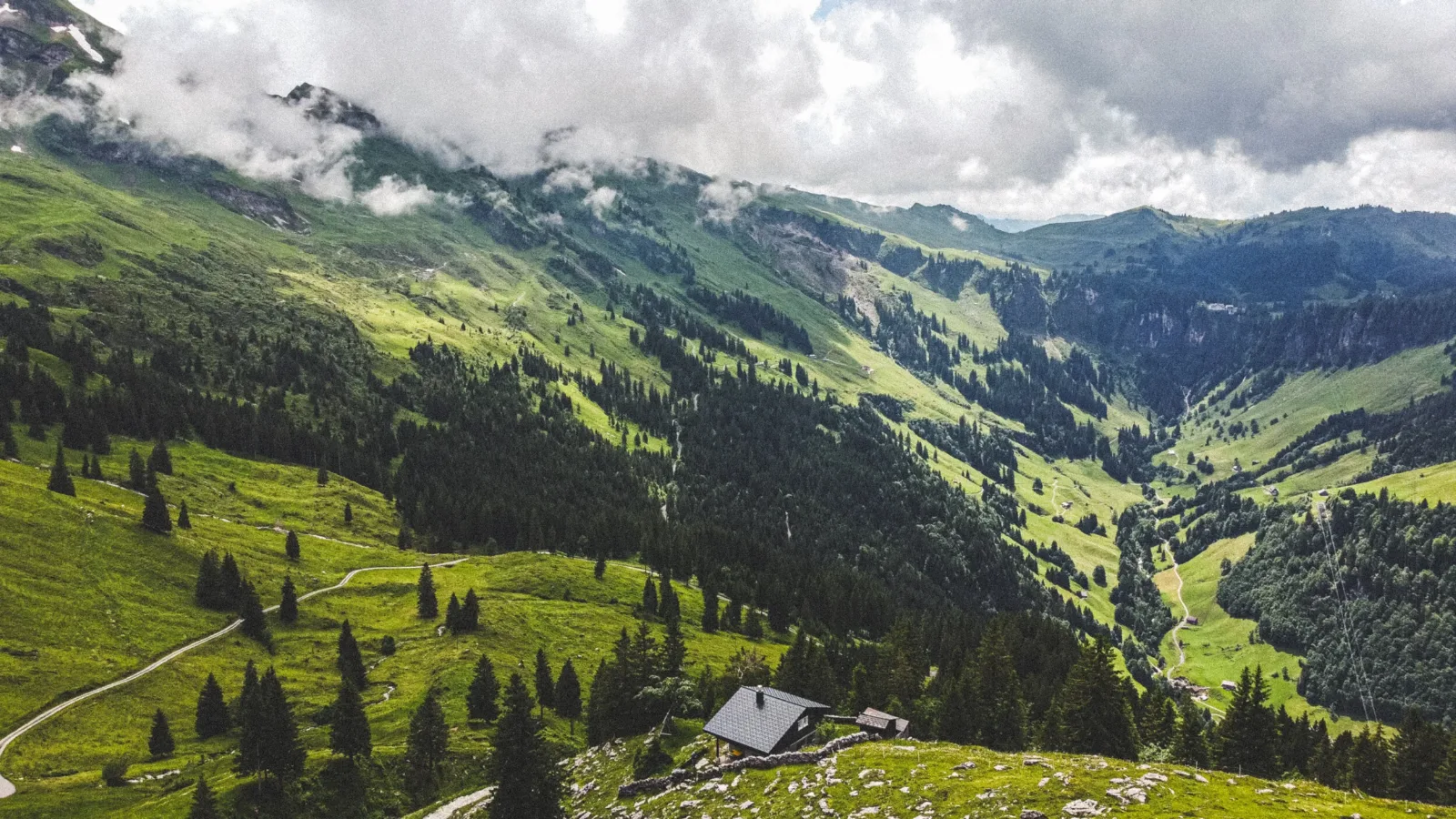DJI_0046.jpg