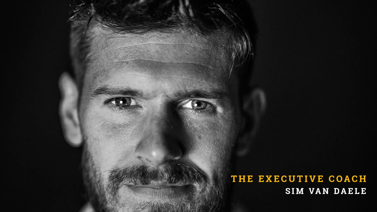 Sim - The Executive coach