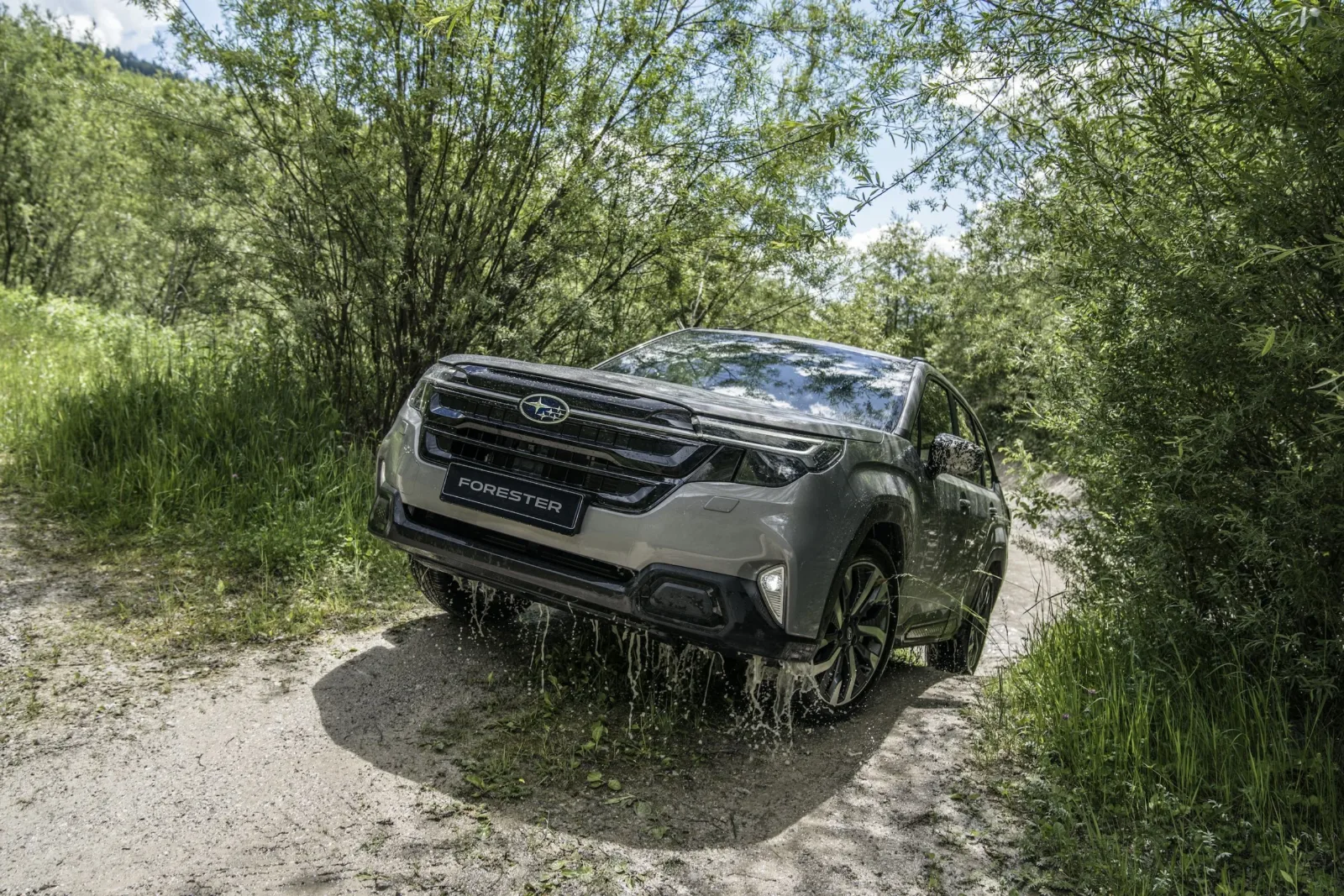 FORESTER FRONT SLOPE.jpg